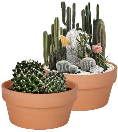 Vensovo - Vaso per succulente in terracotta, 20 cm, 2 vasi grandi in terracotta con drenaggio, Cacuts Terra-Cotta per interni ed esterni, con foro di drenaggio
