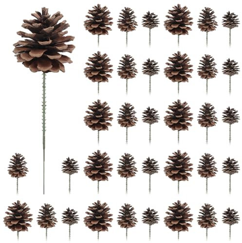 Larber 36 Pezzi Pigne Gambo Piccole Decorative 3 Dimensioni Pigne Piccole Decorative Natalizie Coni di Pino Naturale per Albero di Natale Corona Ghirlanda Artigianato Ringraziamento Autunno Home Decor