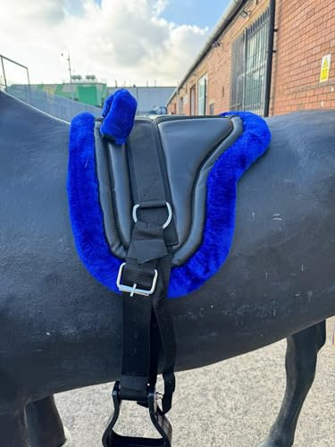 Equipride BAREBACK PAD RIDING PAD FOR PONY AND MINI HORSES WITH GIRTH AND STIRRUPS SIZE FULL-SHETLAND ROYAL BLUE (Shetland)