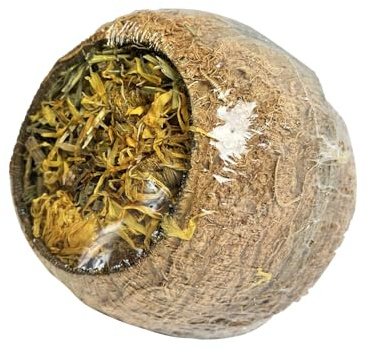 HAPPYPET Forage Filled Coconuts for Small Animals 100% Natural Treat | 100% natural forage-filled coconut treat – high-protein, nutritious snack for rabbits, guinea pigs and hamsters