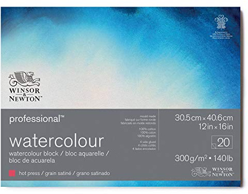 Winsor & Newton 6664008 Professional Watercolour Paper in Pad, 20 Sheets 30.5 x 40.6 cm, 300 g/m², Satined, Bright Natural White Paper in Archival Quality, Resistant to Yellowing