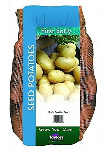 Taylors 2kg Rocket First Early Seed Potatoes