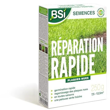 BSI - Semences De Gazon - Réparation Rapide - Avec Enrobage Protecteur - Haute qualité - Jusqu'à 12,5 m² - 250g, Beige