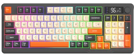 Lancoon Tastiera Wireless Ricaricabile con Dual Mode 96 Tasti Luce Colorata Scorciatoie Multimedia Pulsante Volume Indicatore di Livello Batteria Lunga Durata per Gaming PC Portatile