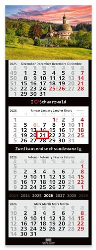 Geiger-Office Calendario de pared 2025 de 4 meses, formato grande, 33 x 90 cm, con atractivo diseño de la Selva Negra