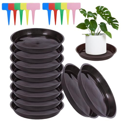 Sctmda Platillos Macetas 10 Piezas Plato Maceta Redondo 15cm Platillos Plantas Platos de Plastico Macetas Redondos Platillo Plantas de Plástico Bandejas de Goteo Macetas con 20 Etiquetas para Jardín