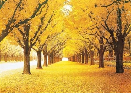 1000 Pieces Stained Art Autumn Golden Yellow Forest Ginkgo Trees Fallen Leaves Fall Deciduous Landscape Adults Games Wooden Jigsaw Puzzles For Christmas