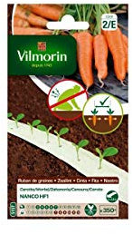 Carotte Nanco HF1 - Ruban de graines - 5 m