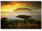 Paul Sinus Art Leinwandbilder | Bilder Leinwand 120x80cm Landschaft Kilimanjaro in Afrika