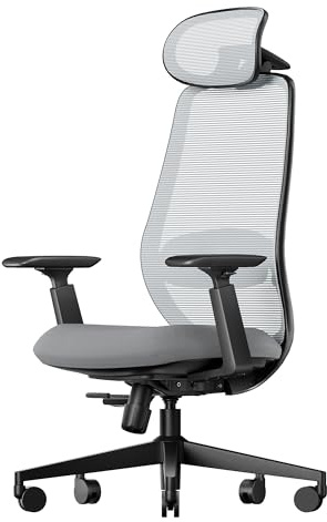 ProtoArc Ergonomic Office Chair – EC200 High-Back Mesh Computer Chair with Lumbar Support, 3D Adjustable Headrest & Sliding Seat for 8+ Hour Comfort, Big & Tall Home Office Desk Chairs - Gray