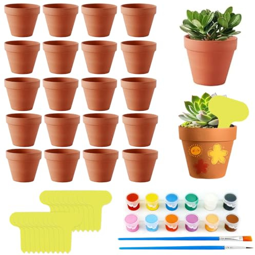 Nzkeuf 20 Vasi Terracotta Vasetti 5,5 x 5 cm, Vasetti Per Piantine con Colori&Pennelli&Etichetta, DIY Vasi in Terracotta con Foro di Drenaggio, Piccoli per Succulente, Cactus