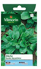 Vilmorin - Sachet graines Mâche ronde maraichere