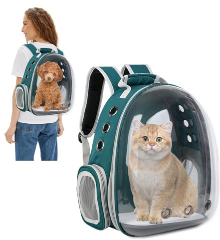 PETCUTE Kattryggsäck, expanderbar bärryggsäck för kattkapsel, transparent bubbelhållare för husdjur, frontpaket med 9 ventilationshål andas, för katt hund utomhusvandring och resande grön