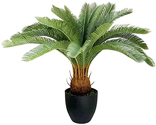 Leaf Design UK Große künstliche Palme, Cycas Tropical, 70 cm