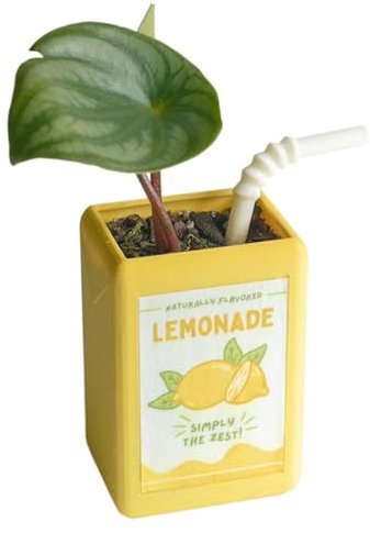 Vase Vintage, jardinière Mignonne avec Conception de boîte à jus, Vase Funky, Vase décoratif en céramique Rise and S d'inspiration Vintage, Conception de boîte à jus pour Pot Floral, Bon e nt