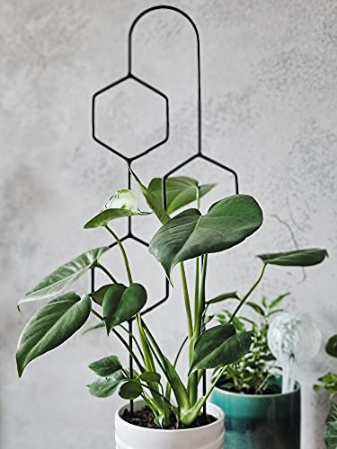 LEAFLO Hexa Line Rankhilfe für Zimmerpflanzen 59 cm | Metall - Pflanzenstütze - Rankgitter - Blumengitter | Innenraum Dekoration | Für Pflanzenliebhaber
