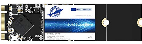 Dogfish SSD M.2 2280 500Go Ngff Interne Disque Dur Haute Performance pour Ordinateur Portable SATA III 6Gb / s De Haute Performance De Lecteur De Disque Dur Comprend SSD 128 Go 256 Go 500 Go 1To