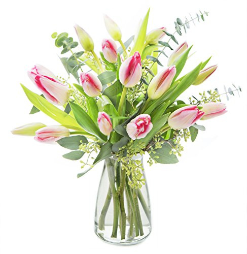 KaBloom - Bouquet of Pink Ballerina Tulips with vase - Fresh Flowers for Birthday, Valentine's & Mother's Day