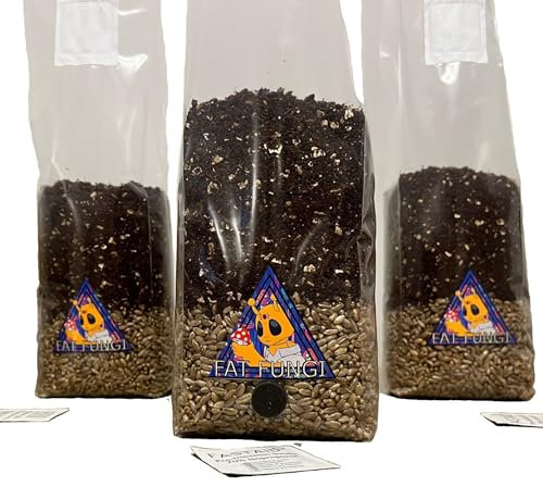Fat Fungi Mushroom Growing Kit UK | All in One | Organic Rye Grain + CVG | Just add Spores Like Magic...