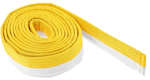 Alipis Ceinture Taekwondo Ajustable Blanche et Jaune pour Arts Martiaux Judo Karaté et Sports de Combat Équipement Entraînement Souple et Confortable
