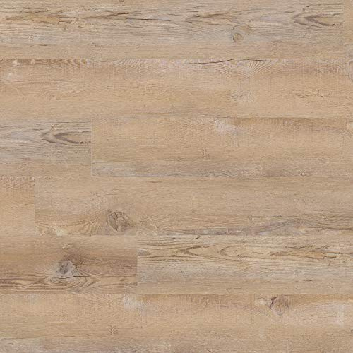 MSI Hampstead 6 in. x 48 in. Glue Down Luxury Vinyl Plank Flooring – Meadowbrooke Beige | Beige Wood Look, 2MM Thick, 12MIL Wear Layer, 36 Sq. Ft.