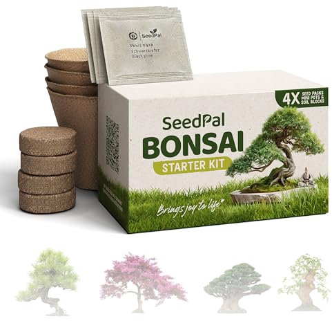 SeedPal Bonsai Set - Bonsai Starter Kit - Bonsai Anzuchtset 4 versch. Bonsai Baum Samen - Geschenkset/Pflanzset inkl. Anleitung & Zubehör