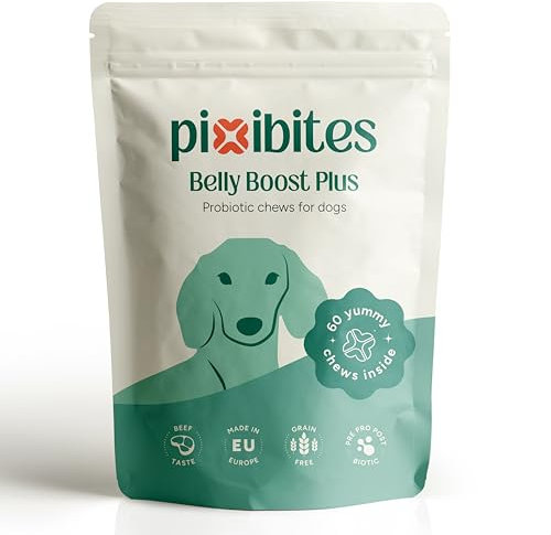 pixibites - Probiotici per Cani, Fermenti Lattici Premium, Digestivo per Cani, Promuove la Salute Intestinale, Supporto Allergie Stagionali e Sistema immunitario