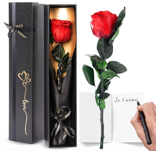 Trends by Twins® Rose Eternelle, Cadeau Anniversaire Femme, Rose, Idee Cadeau Femme, Anniversaire Femme, Amour, Fleur, Cadeau Maman, Fleur eternelle, Cadeaux Anniversaire Femme (Rouge/Or)