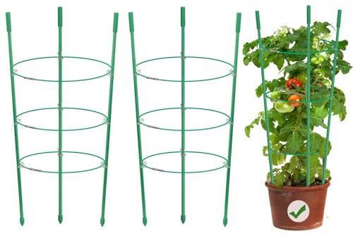 3 Pack Small Plant Support Cages, Indoor Tomato Cages Trellis, Vine Garden Plant Stakes with Support Ring for Climbing Plants Potato Flowers Vegetables Fruit Outdoor Gardening Planting(17 Inch)