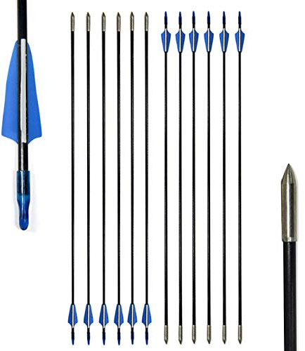 AMEYXGS 24/12 pcs Tiro con Arco de Fibra de Vidrio Flechas Flechas de Destino Flechas Principiantes para Arco Largo Arco Recurvo (12 pcs)