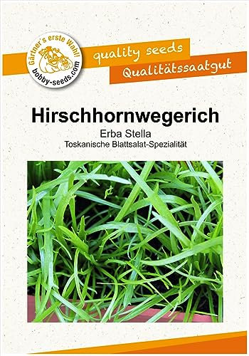 Salatsamen Hirschhornwegerich - Erba Stella Portion