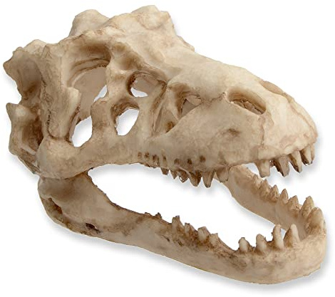 ANMOO Aquarium Ornaments, Large Dinosaur Skull Decorations Non-Toxic Vivarium Decoration Emulational Reptile Hide Aquarium Cave For Reptile and Fish