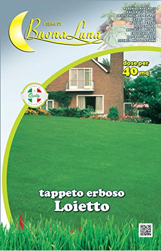 Semillas césped 1 kg 'Loietto Perenne' 1 ud. – 1
