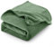 CozyLux Kuscheldecke Flauschig Decke Groß XXL 220x240 cm für 4 Jahreszeiten - Weich/Warm/Leicht Sofadecke Wohndecke Couchdecke für Bett/Sofa/Couch, Flanell Fleecedecke 240x220 cm Grün