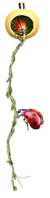 Hqunjikp Accessoires de clôture pour araignées sautantes | Abri d'araignée sauteuse – Accessoires de maison pour terrariums pour geckos à crête, mille-pèdes, petits reptiles, arthropodes