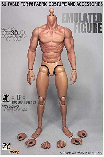 ZSMD 1/6 Männlicher Soldat Body Muscle Body Joint Beweglich Geeignet Für Dress Up HT VERYCOOL TTL PHICEN TBLeague (D)