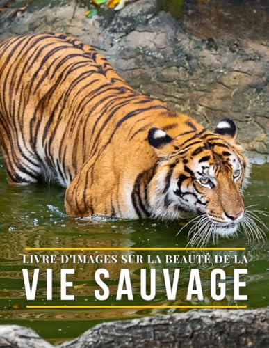 Livre d'Images sur La Beauté de La Vie Sauvage: Un livre de photos d'animaux sauvages pour aider la mémoire des personnes âgées et des adultes atteints de démence ou d'Alzheimer.