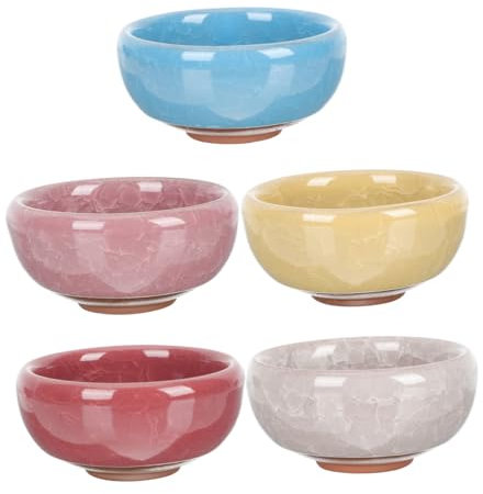 POPETPOP 5 Pièces Pot De Fleurs en Céramique pour Plantes Et Petites Fleurs Pot De Plantation Créatif pour Usage Intérieur