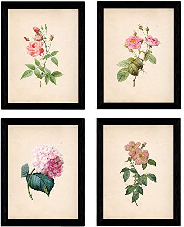 Nacnic Set 4 Stampe artistiche vintage. Sfondo stampe con colori neutri rapprsentazione floreale. immagini di fiori vintage. raffigurazioni della natura. stile botanico. piante..