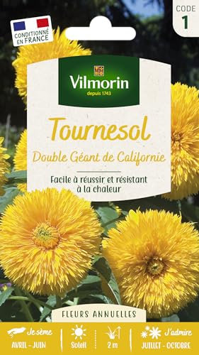 VILMORIN Tournesol double géant de Californie Vilmorin série 1