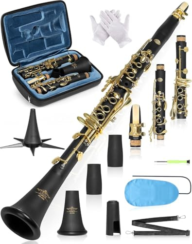 AKLOT B Flat Concert Clarinet: Precision Tone Hole Design for Stable Intonation, Durable Gold-Plated Keys, Including Leather Hard Case, Barrel, Stand, Full Cleaning Kit (Aria-AG)