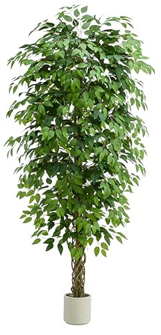 TNGGNT Artificial Ficus Tree：6FT Faux Silk Floor Plant Realistic Tall Fake Ficus Large Potted with Braided Trunk Lush & Green Leaves Pot for Home Office Room Decor Indoor & Outdoor (6FT,1-Pack,White)