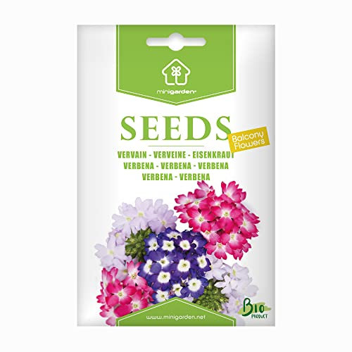 Verveine, Graines prêt à Pousser Minigarden, 100% Naturelles sans Propagateurs Chimiques ni Génie Génétique, inclut entre 90 et 120 graines