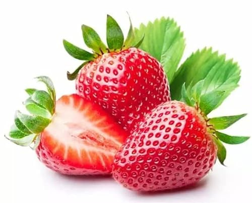 Semillas de Fresa | DECOALIVE | Semillas para Huerto Urbano | Cultiva Fresas en Casa