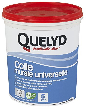 Colle Murale QUELYD Universelle - 1 kg - Prêt à l'emploi