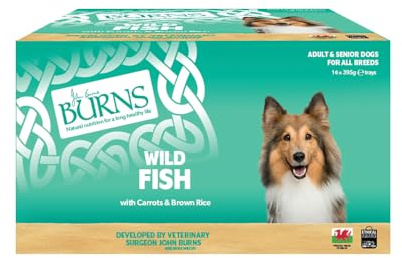 Burns Pet Natural Nutrition Adult and Senior Wet Dog Food Fish, Carrots and Wholegrain Brown Rice 16 x 395g