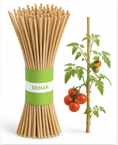 SEMAR Confezione da 100 tutori da 40 cm x 0,4 per piante rampicanti, pomodori, cetrioli o fiori - Supporto per piante da interno - in legno (quadrato)