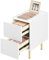 WOLTU Nachttisch mit 2 Schubladen, Beistelltisch Nachtschrank Hochglanz, 25x40x51cm, moderner Nachtkommode für Schlafzimmer, einfache Montage, Holz PVC+Metall, Weiß+Golden NTS10ws01