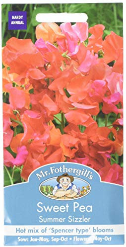 Mr. Fothergill's Summer Sizzler Tall Sweet Pea Flower Seeds