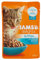 Iams Delights Kitten Huhn in Sauce (Probiergröße Nassfutter für Junge Kätzchen bis 12 Monate), Einzelbeutel (1 x 85 g)